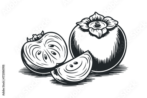 Persimmon Fruit Whole Cut Half Slice. Vector hand drawn illustration