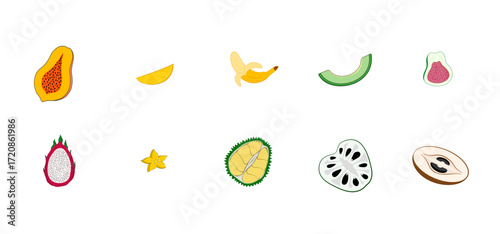 vector set of tropical fruit