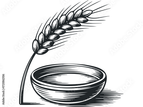 Wheat stalk and bowl with grain. Vector hand drawn illustration