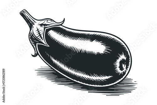 Engraved Aubergine Isolated on White Background. Vector hand drawn illustration