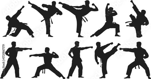 Karate martial arts silhouettes demonstrating powerful kicks, punches, stances, discipline, strength, agility, self-defense, training, martial artist poses, black belt techniques
