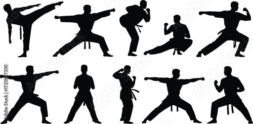 Karate silhouette collection, martial arts poses, black belt fighters, kicking, punching, self defense stance, training, combat moves, isolated vector.