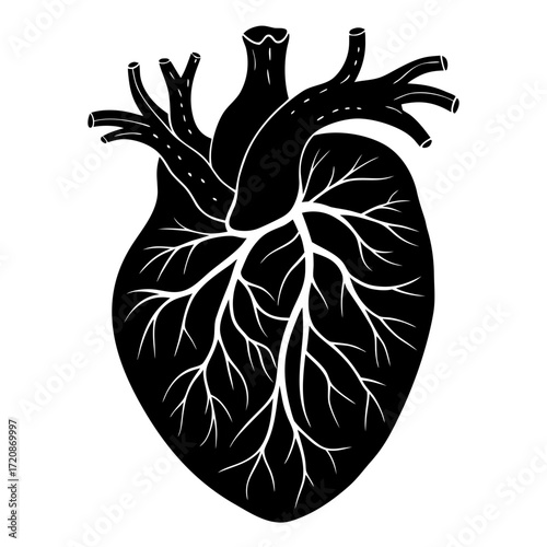 Vector art of detailed black anatomical heart graphic with intricate white vascular network, representing the core of life and the bodys vital functions, isolated on a