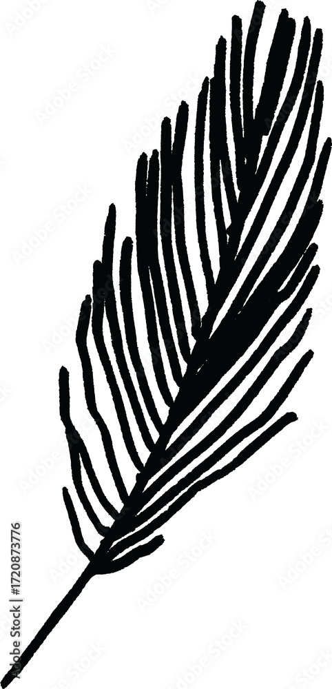 Obraz premium Botanical hand-drawing element