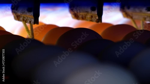 The eggs are on the production line.