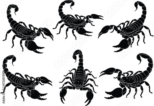 Scorpion silhouette set, black insect icons, isolated vector, arachnid clipart, dangerous animal shapes, tattoo design, predator symbols, white background