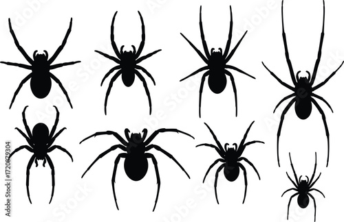 Spider silhouette set, black spider vector, arachnid illustration, creepy insect design, Halloween graphic element, spider species pose collection