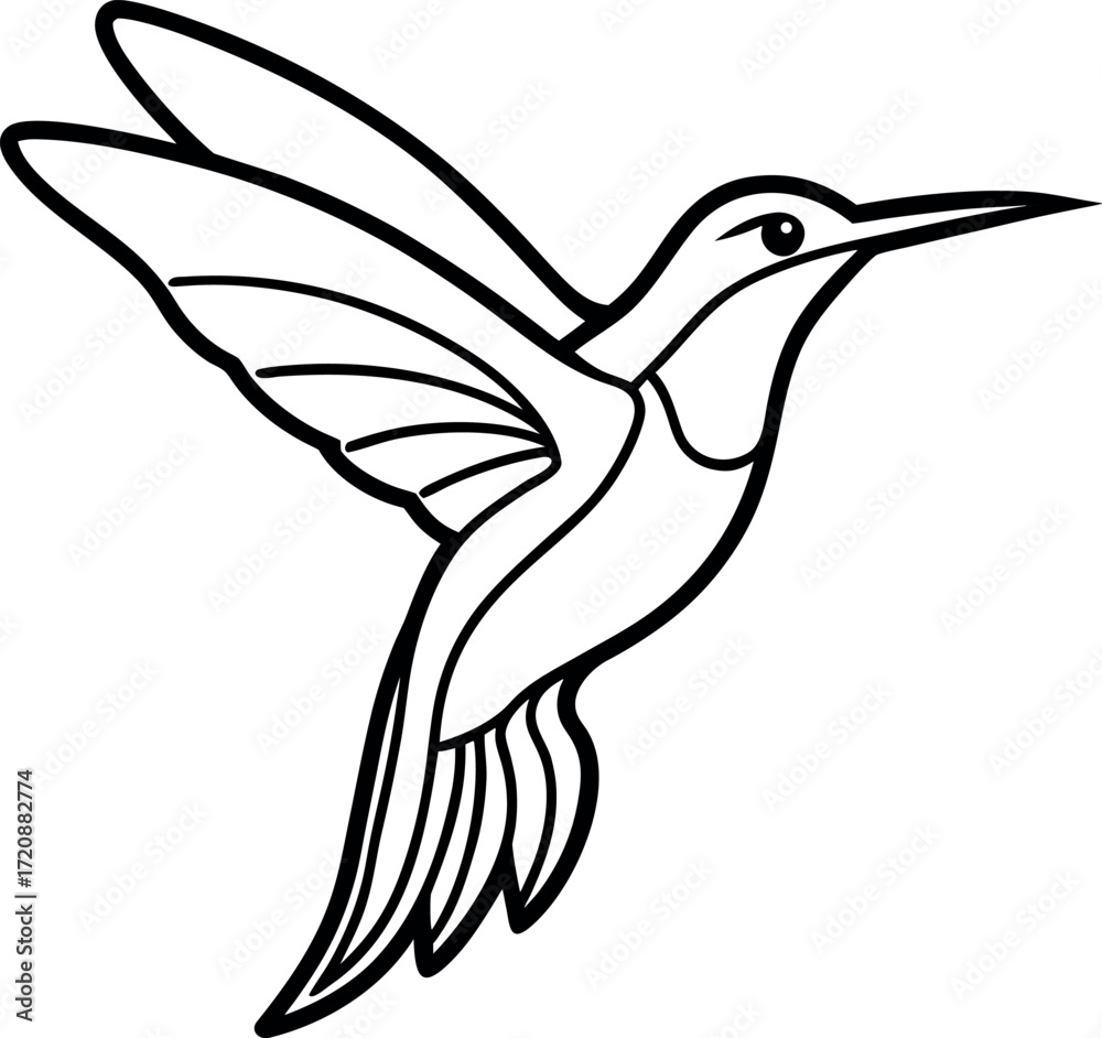 Obraz premium hummingbird vector illustration