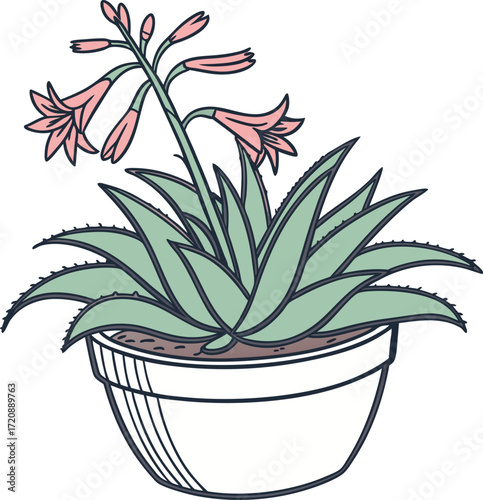 Succulent flowering plant in pot icon isolated.