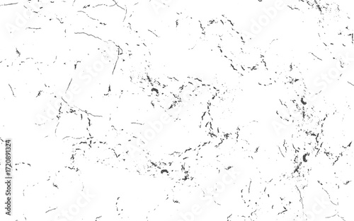 Gray Wall Wallpaper with copy-space. Premium Urban Concrete Texture Background.Transparent PNG available
Old texture of the wall covered with paint with the effect of damage, dust, graininess, cracked