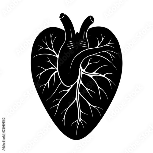 Vector art of stylized black heart with anatomical veins and arteries, isolated on a, representing life, health, and the human circulatory system