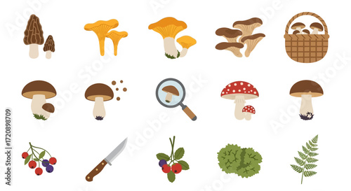 Mushroom Collection - Edible and Wild Varieties with Berries and Tools.