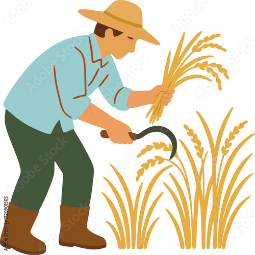 farmer harvesting rice plant in paddy field vector design