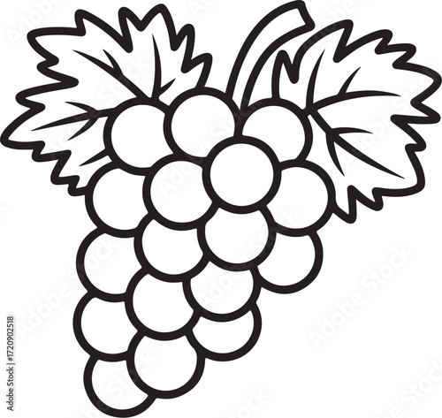 Simple Grapes Outline Drawing – Fruit Coloring Page for Kids
