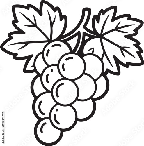 Simple Grapes Outline Drawing – Fruit Coloring Page for Kids