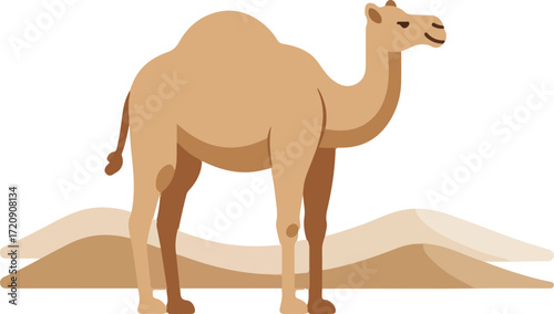 Dromedary camel in the desert suitable for childrens books, educational materials, and travelrelated designs. Cute and whimsical.