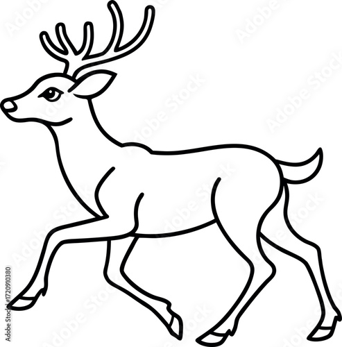 deer vector illustration