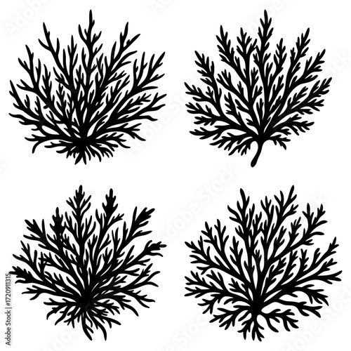 Four black silhouette shrubs with dense branching on a white background in a simple illustration style
