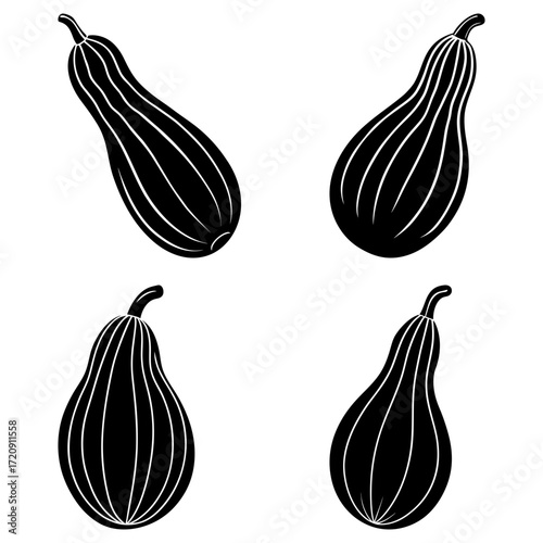 Four black and white silhouette illustrations of different types of butternut squash vegetables