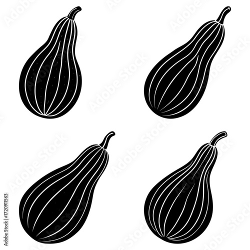 Four black and white striped gourds with stems arranged on a white background in various orientations