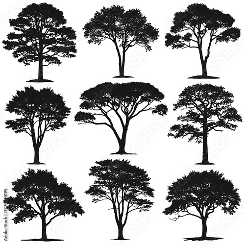 A collection of diverse tree silhouettes, perfect for graphic design, illustrations, or nature-themed projects.