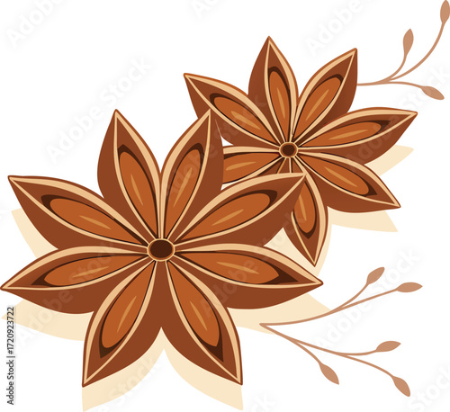 Star anise spice illustration food seasoning