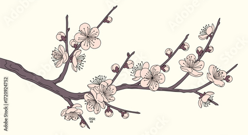 Delicate plum blossoms on a branch in soft pastel colors against a creamy background creating a serene and tranquil atmosphere.