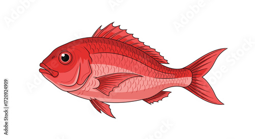 A vibrant red snapper swimming gracefully in clear ocean waters.
