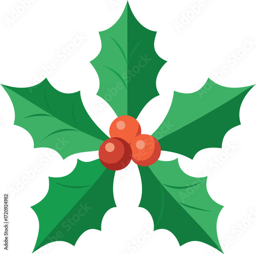 Elegant Holly Leaves Vector Illustration for Christmas and Holiday Designs
