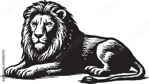 Majestic male lion with full mane lying down in a regal pose isolated on white background