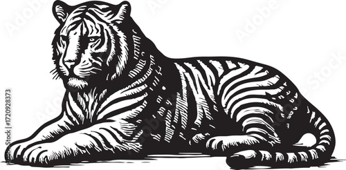 Majestic tiger lying down in a detailed black and white illustration with striking stripes
