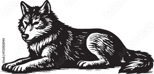 Detailed ink sketch of a majestic wolf lying down with intense gaze and shaggy fur on a white background