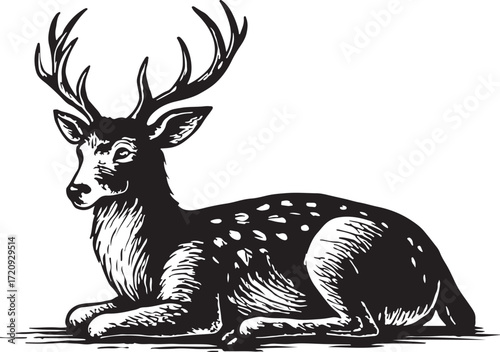 Vintage engraving of a majestic stag with antlers lying down in a forest setting