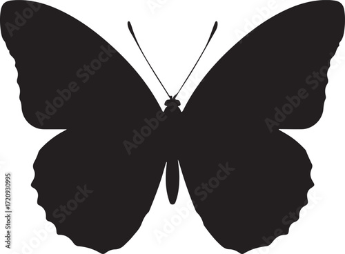 Butterfly Silhouette Design