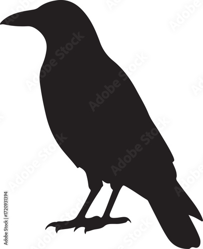 Majestic Crow Silhouette Illustration