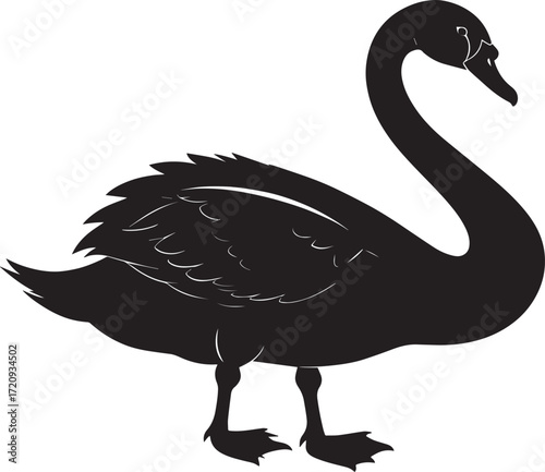  Lake Swan Silhouette Vector Illustration