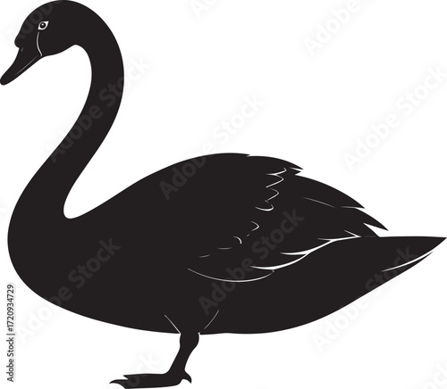  Lake Swan Silhouette Vector Illustration