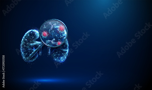 Kidney with a magnifying glass and viruses and antibodies inside. Immune response, kidney disease detection, nephrology research, health monitoring concept.