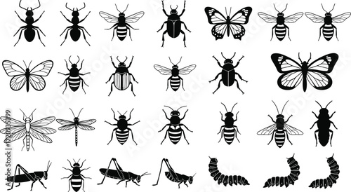 Black insect silhouettes, caterpillar illustrations, butterfly outline, beetle vector, dragonfly drawing, grasshopper design, ant icon, entomology clipart, insect collection, biology graphics