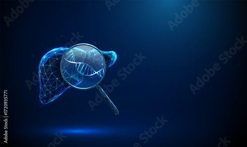 3d blue human liver under magnifying glass, DNA helix inside Genetic research, liver biotechnology, molecular biology, hereditary disease analysis concept