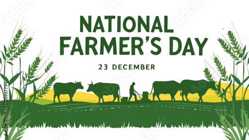 Flat vector of farmer plowing field with oxen and wheat ears with “National Farmer’s Day 23 December” text on white background