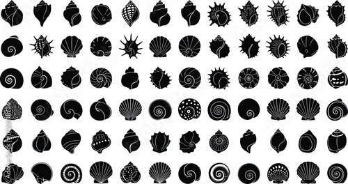 Black silhouette seashell icons, marine shells, ocean collection, spiral conch, fan shell, conical shell, natural design, vector illustration, abstract pattern
