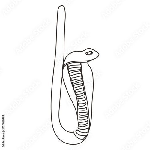 Symbol Snake Egyptian Hieroglyphs line