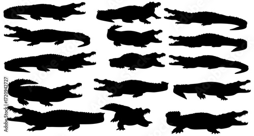 Silhouette Crocodile Illustration Set of Alligator Reptiles Animal Various Poses