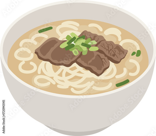 Bowl of noodle soup with meat and green onions illustration.