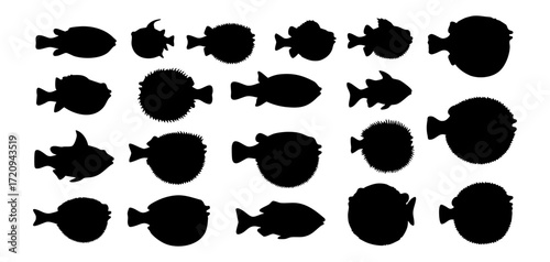 Black Silhouette Variety of Different Shaped Fish Sea Life Illustration