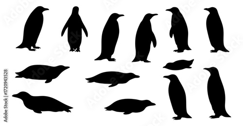 Black Silhouette Adorable Penguin Antarctic Bird Animal Wildlife Graphic Element