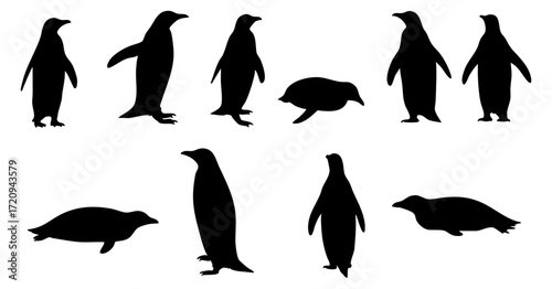 Minimalist Silhouette Emperor Penguin Collection in Various Poses Wildlife Illustration