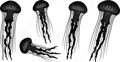 Black jellyfish illustration, marine life vector, underwater creatures, tentacles flowing, ocean wildlife art, monochrome sea animals, elegant aquatic design