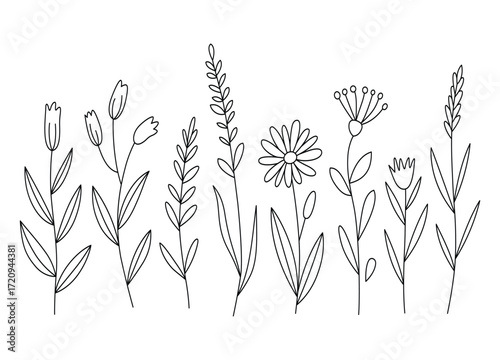 Elegant floral line art illustration featuring an assortment of wildflowers and botanical elements perfect for design and decoration projects on white backdrop